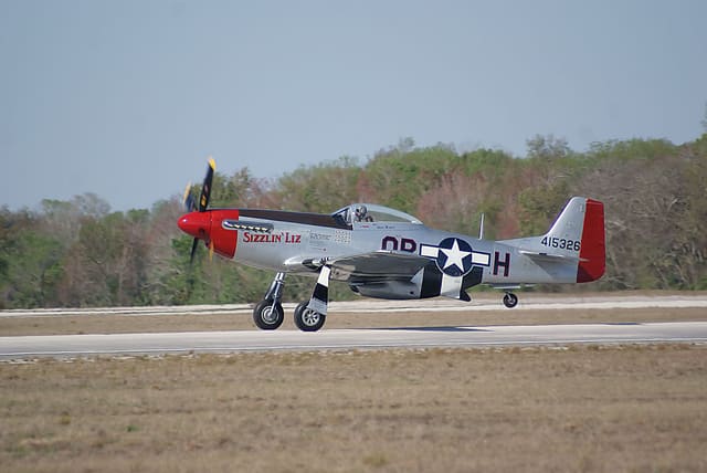 - Warbird