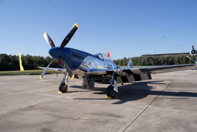 - Warbird