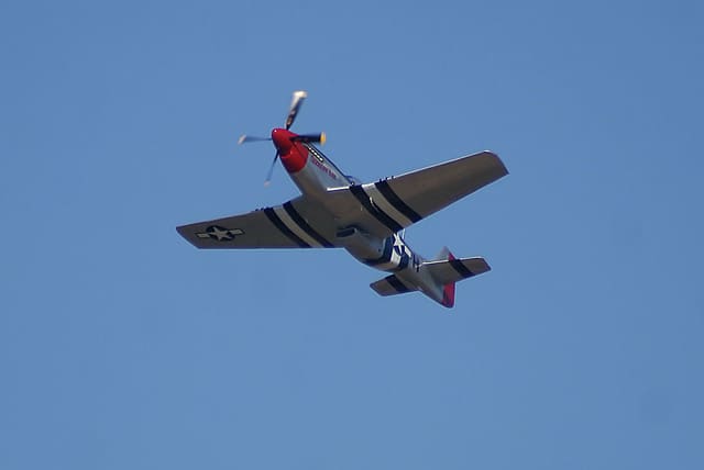 - Warbird