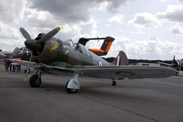 - Warbird