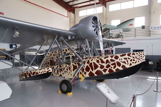 - Single-engine aircraft