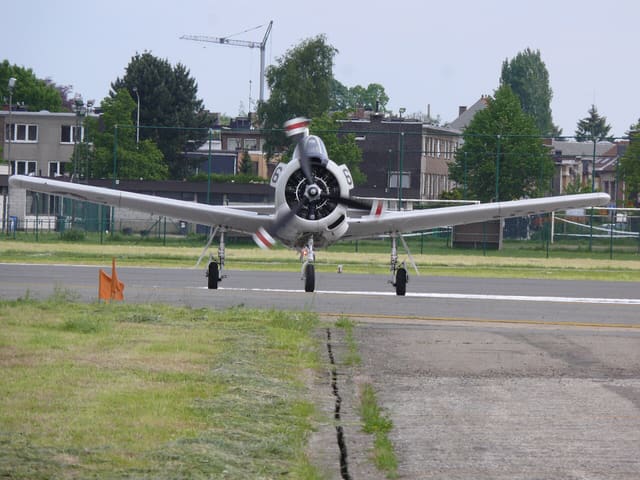 - Warbird