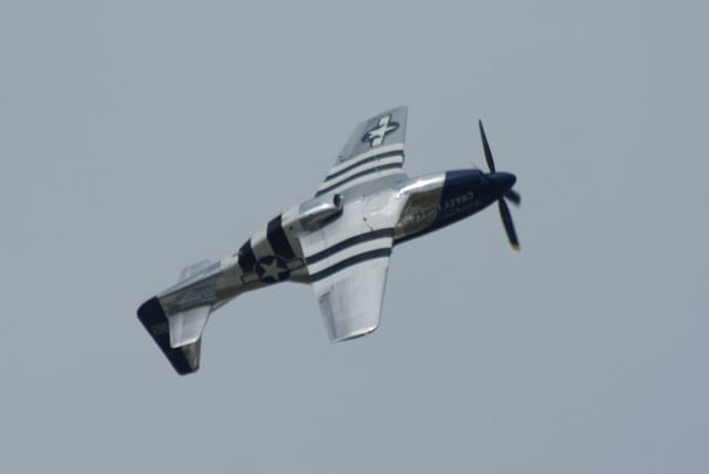 - Warbird