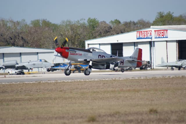 - Warbird