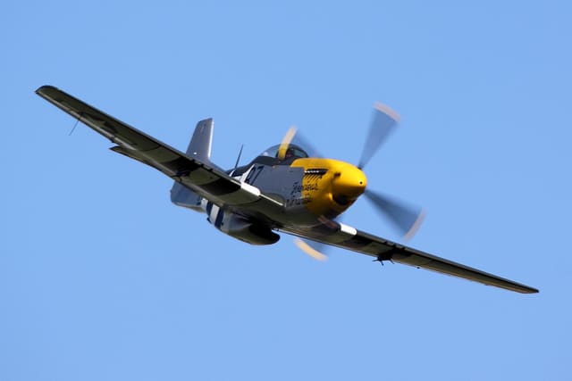 - Warbird