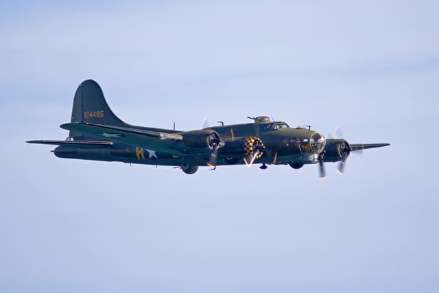 - Warbird