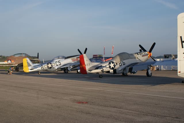 - Warbird