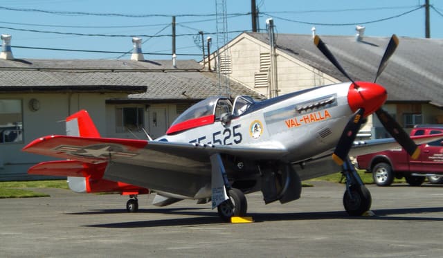 - Warbird