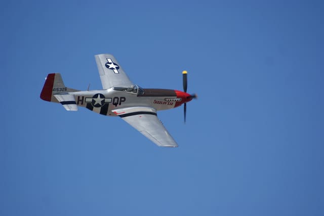 - Warbird