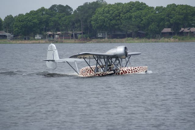 - Single-engine aircraft