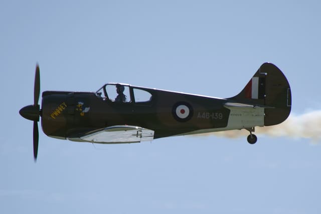 - Warbird