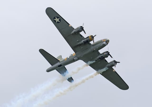 - Warbird