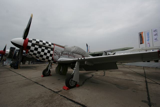 - Warbird