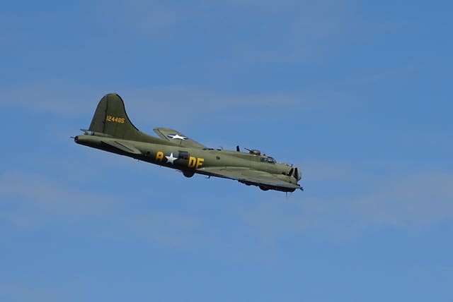 - Warbird