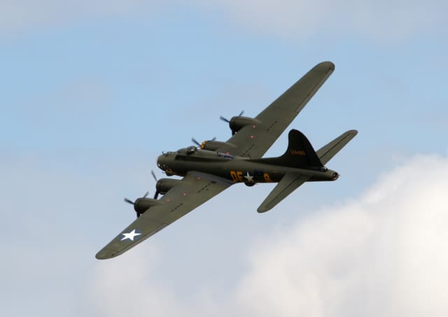 - Warbird