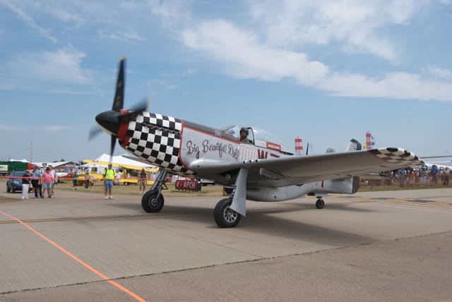 - Warbird