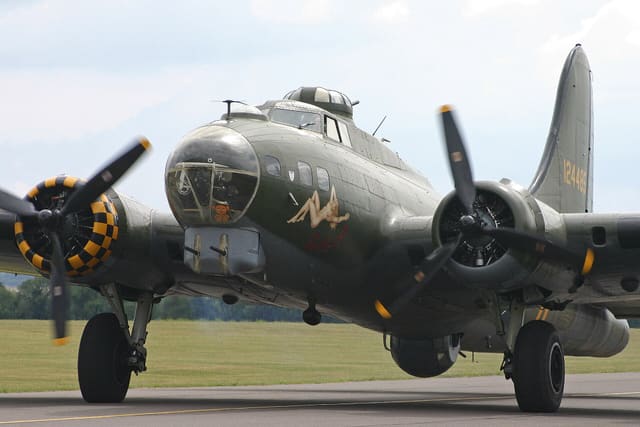 - Warbird