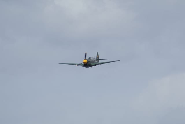 - Warbird