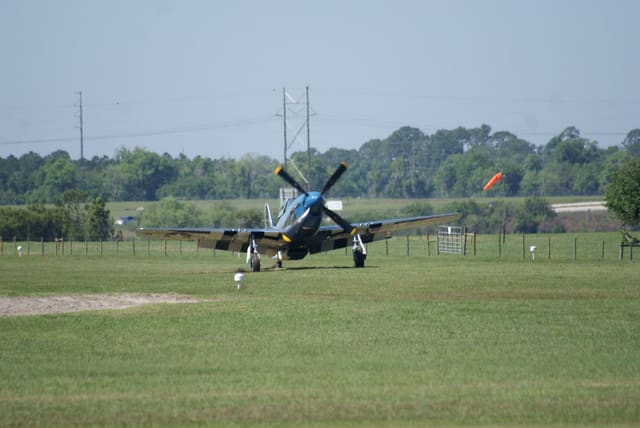 - Warbird
