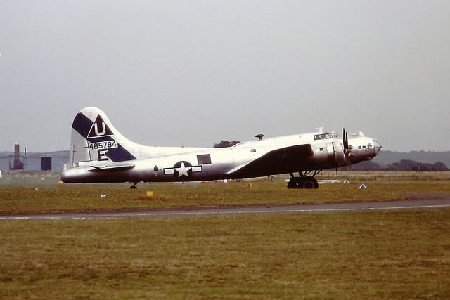 - Warbird