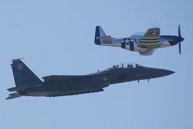 - Warbird