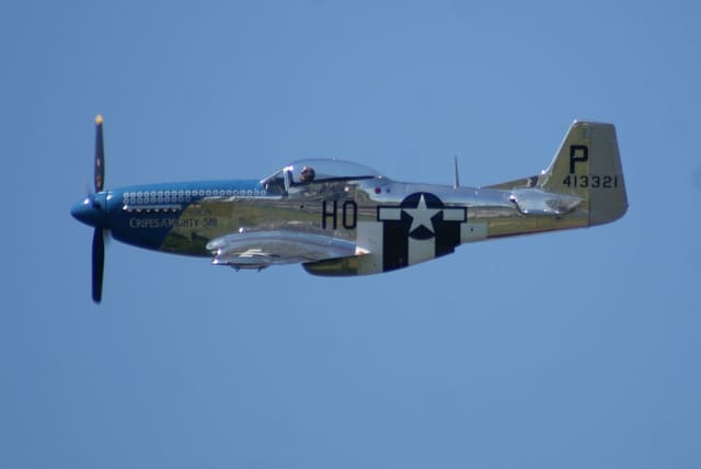 - Warbird