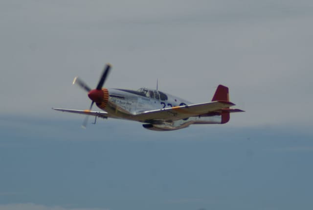 - Warbird