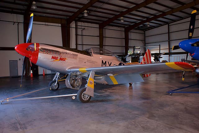 - Warbird