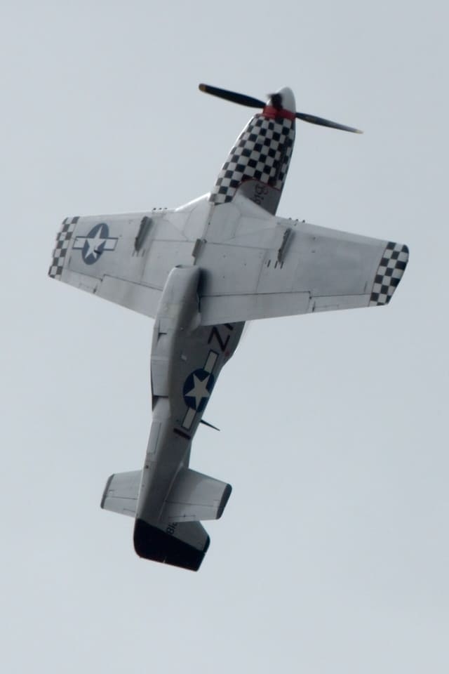 - Warbird