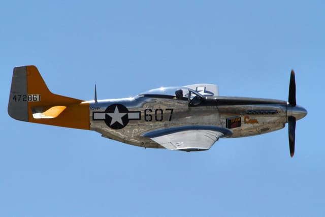 - Warbird