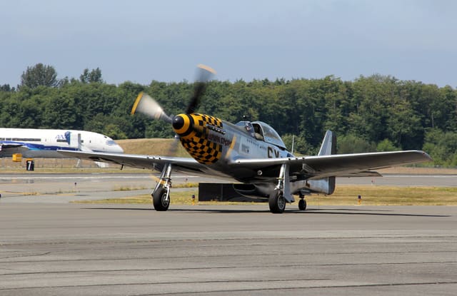 - Warbird