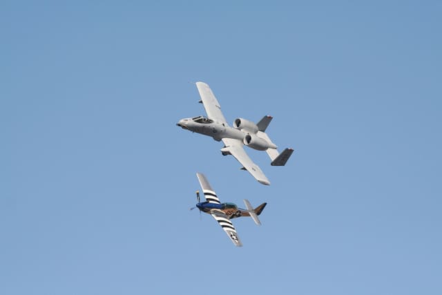 - Warbird