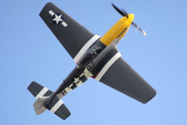 - Warbird