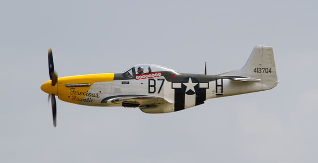 - Warbird