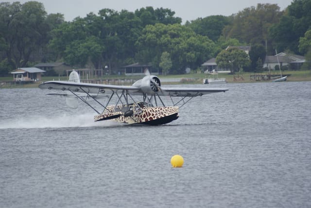 - Single-engine aircraft