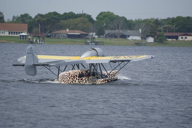 - Single-engine aircraft
