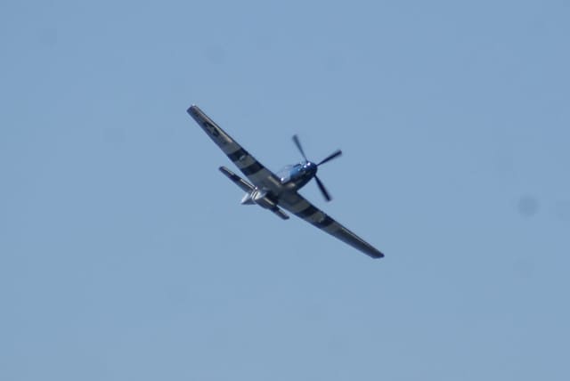 - Warbird