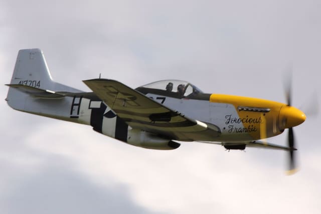 - Warbird