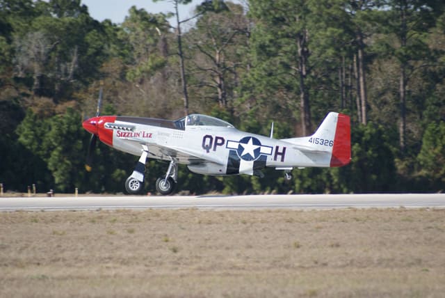 - Warbird