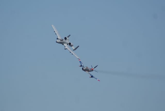- Warbird