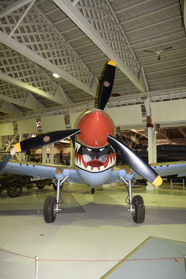 - Warbird
