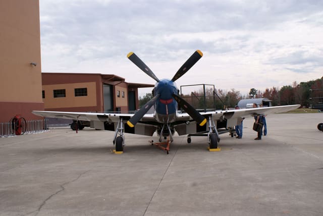 - Warbird