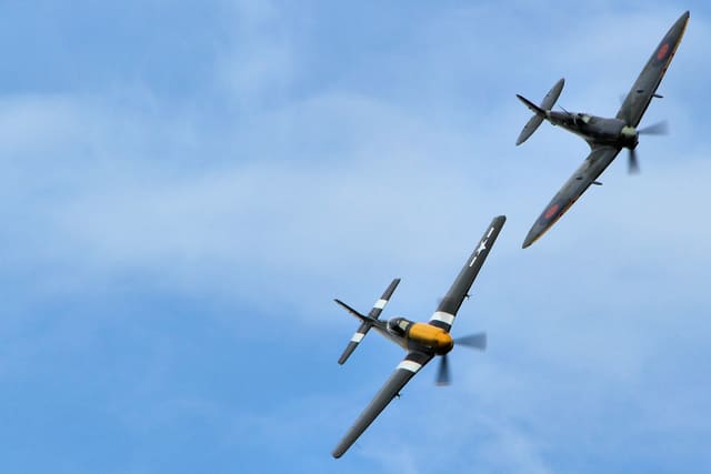 - Warbird