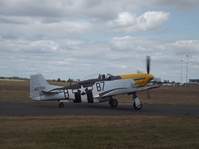 - Warbird