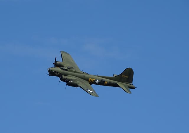 - Warbird
