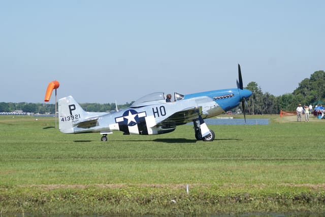 - Warbird