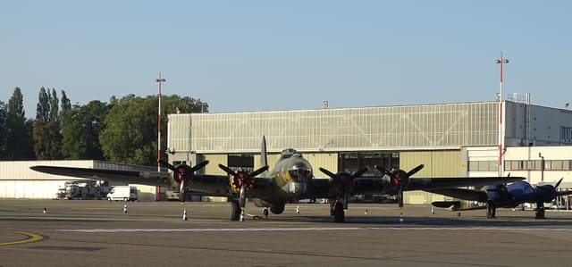 - Warbird