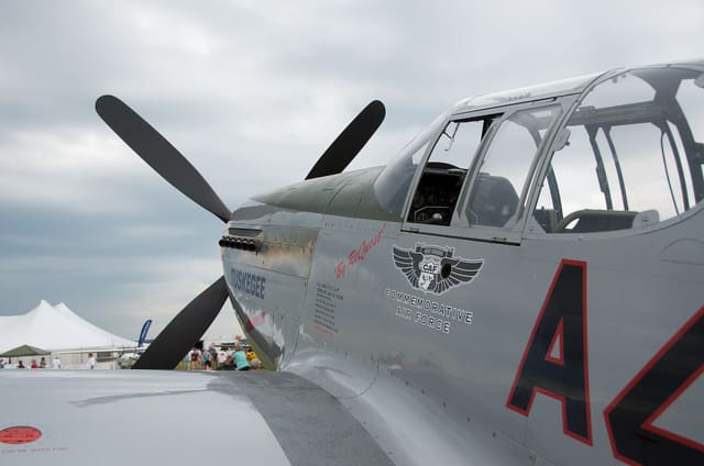 - Warbird